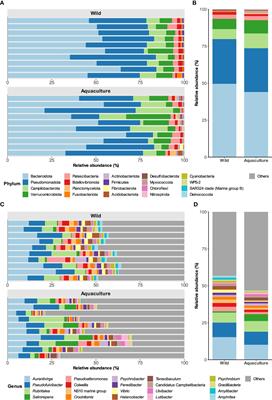 The skin microbiome as a new potential biomarker in the domestication and health status of Octopus vulgaris